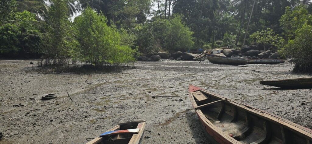 Fondation OCP : 89.000 bénéficiaires dans 13 pays et 221 projets portés en 2024