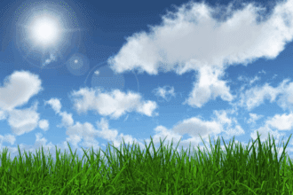 Les prévisions météo pour ce mardi 24 juin