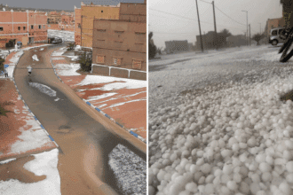 Zagora : la grêle détruit les cultures de pastèques et inonde plusieurs quartiers