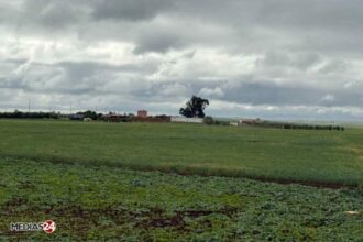 En 2025, l'agricuture va apporter une contribution positive à la croissance économique