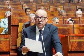 Un programme de soutien dédié aux petits éleveurs en cours d'élaboration