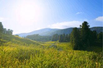 Les prévisions météo pour ce vendredi 13 juin 2025
