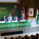 Hôtels, animation, gastronomie… : comment le Maroc révolutionne son offre touristique