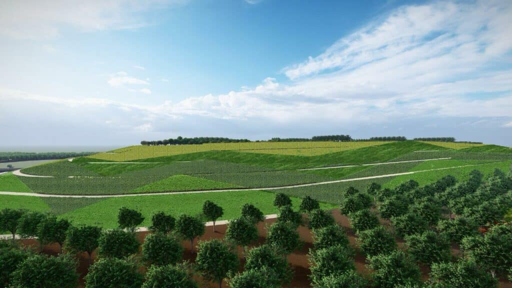 Entretien exclusif avec Nabila Rmili : &ldquo;Nous bâtissons un Casablanca plus vert, plus fluide et plus résilient&rdquo;