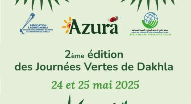 AZURA : un leader de la tomate cerise qui cultive durabilité et excellence