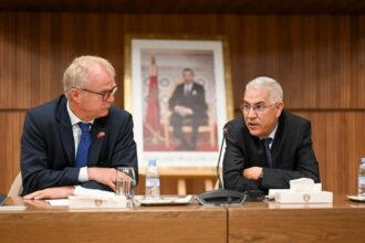 Lancement au Maroc d'un projet d'intégration de l’IA dans l’analyse des risques douaniers