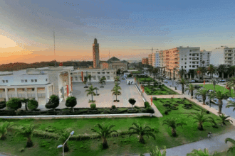 Mohammédia : 42,8 MDH pour reverdir trois boulevards majeurs