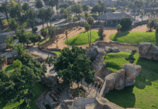 Zoo de Aïn Sebaâ : vidéosurveillance et aménagement paysager en cours