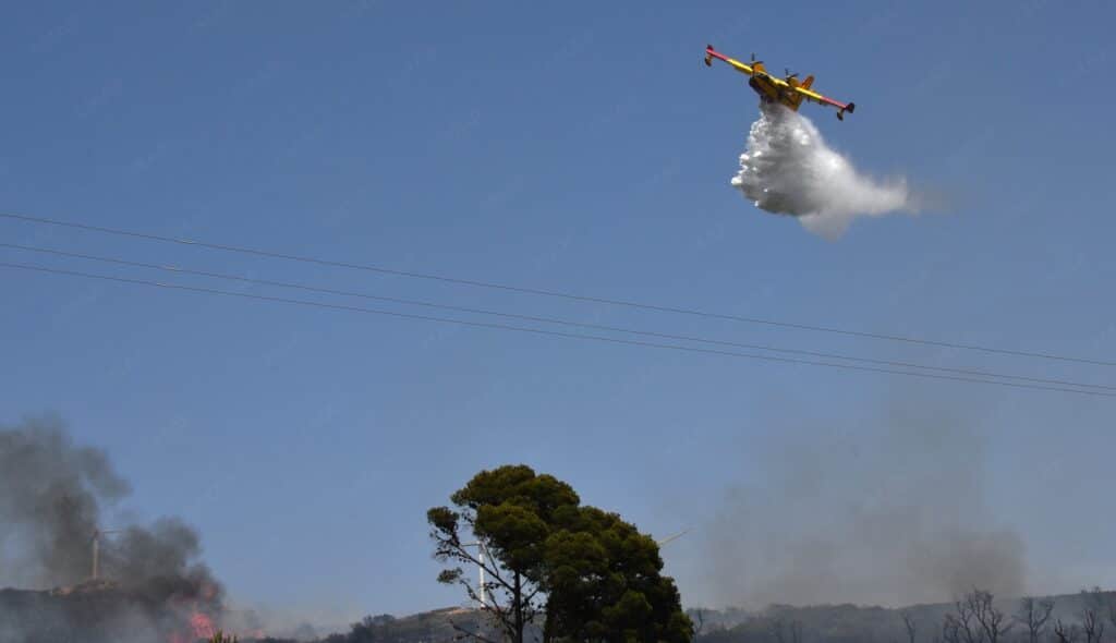 Incendie de forêt au Nord du Maroc.