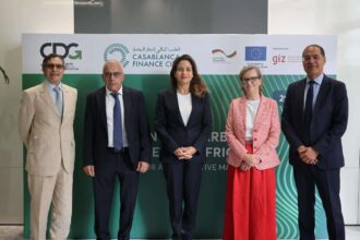 CFC et la CDG s’allient pour une structuration des marchés africains du carbone