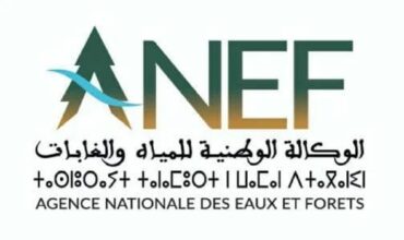Tanger : des travaux à la forêt Al Borj pour la mise en place d'une ligne électrique à haute tension (ANEF)
