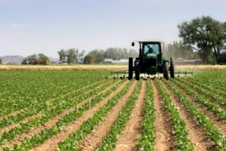 L’INRA et Nature publient une carte intelligente de nutriments des sols agricoles marocains
