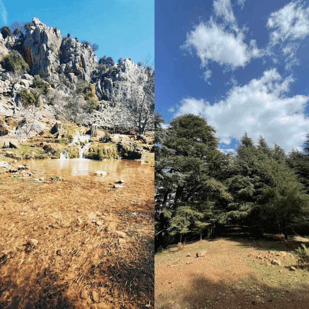 Parc national Tazekka