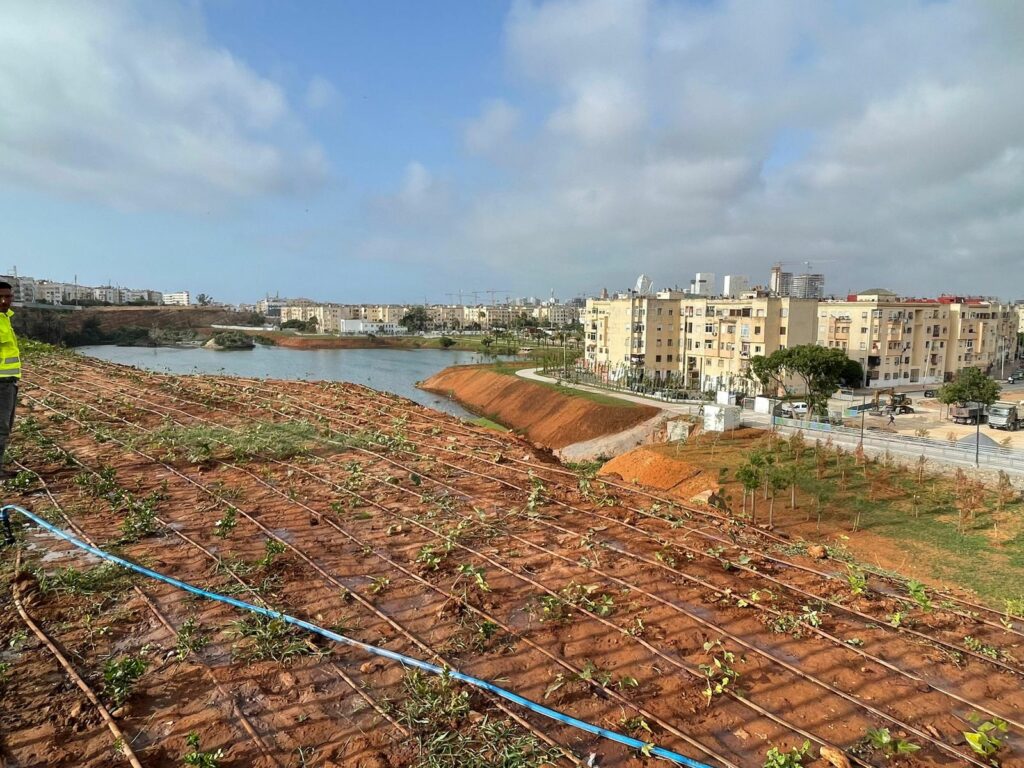 Parc de l’étang du quartier Oulfa : inauguration prévue le 20 août