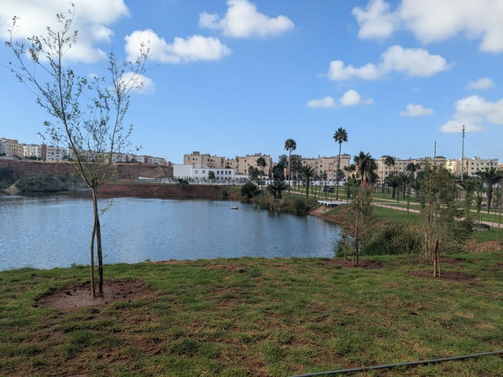 Parc de l’étang du quartier Oulfa : inauguration prévue le 20 août