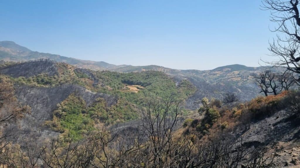 Chefchaouen : l’incendie de la forêt Derdara maîtrisé (images)