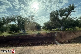 Les prévisions météo pour ce lundi 23 février