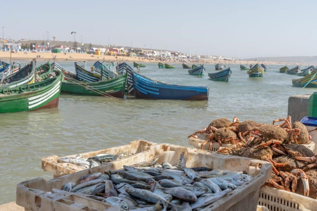 Le port de Souira Guedima