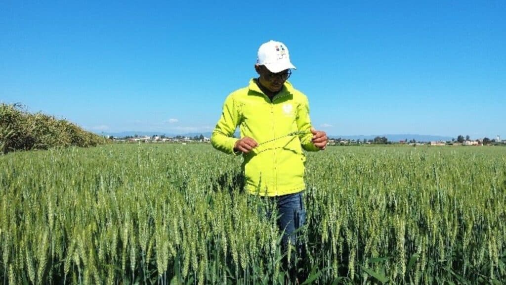 Al Moutmir : les plateformes de démonstration dopent les rendements jusqu’à +33 %