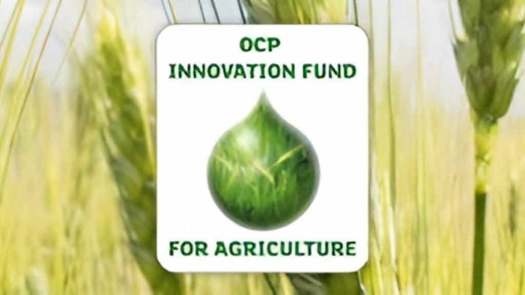 OCP Innovation Fund For Agriculture porte son capital à 2,6 MMDH