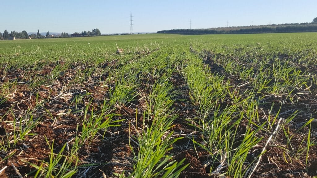 Croissance économique - Maroc T2 2025