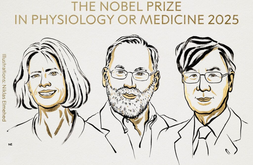 Le Nobel de médecine décerné à deux Américains et un Japonais pour leurs travaux sur l’immunité