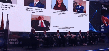 Les assurances obligatoires & l'IA face à l'IA