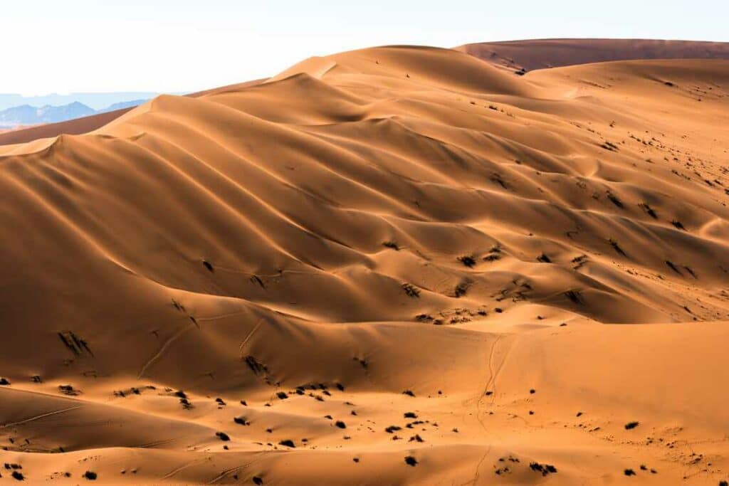 Les dunes d'Erfoud