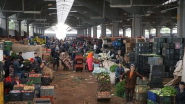 Casablanca-Settat : les contours du projet de la plateforme agroalimentaire se précisent