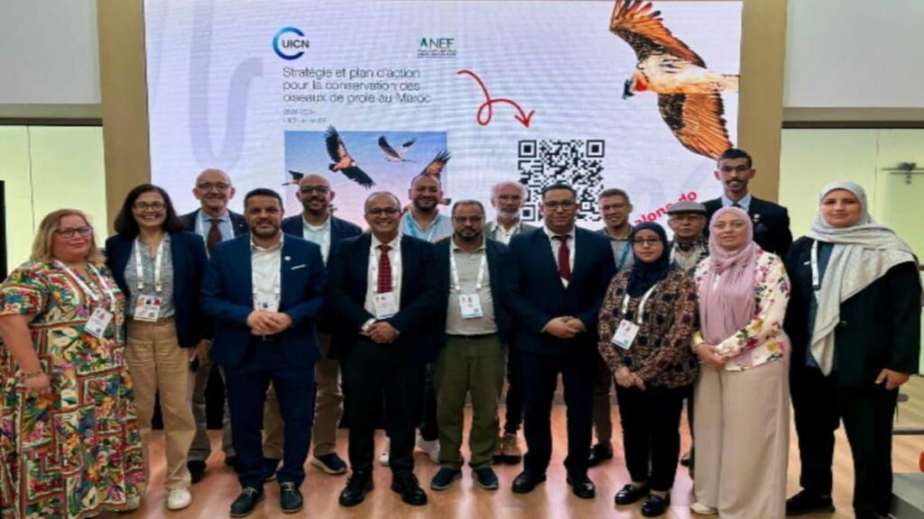Présentation du plan marocain de conservation des rapaces à Abou Dhabi.