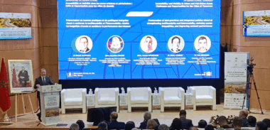 Accessibilité et mobilité dans les zones urbaines et périurbaines : Défis et opportunités