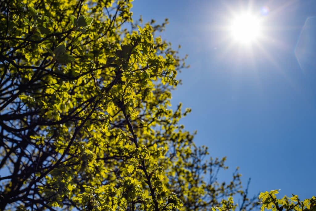 Prévisions météo pour le dimanche 9 novembre 2025
