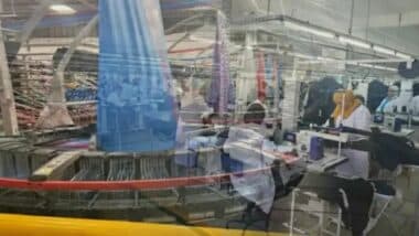 Micro et petites entreprises : un rôle essentiel mais des fragilités persistantes, selon le CESE