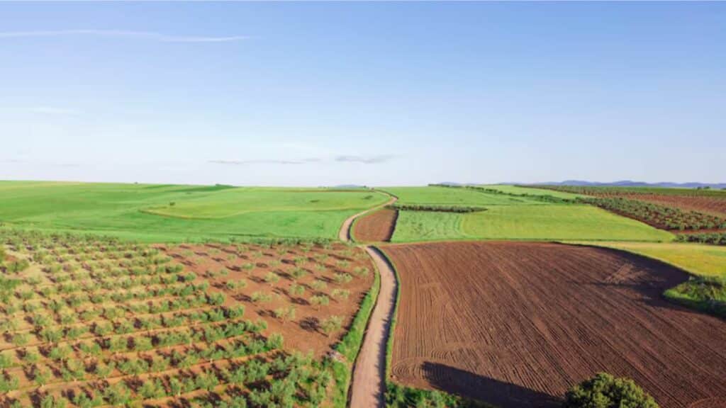 lancement campagne agricole 2025-2026