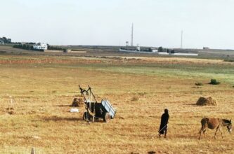 Centres ruraux émergents : la nouvelle arme contre l’exode rural