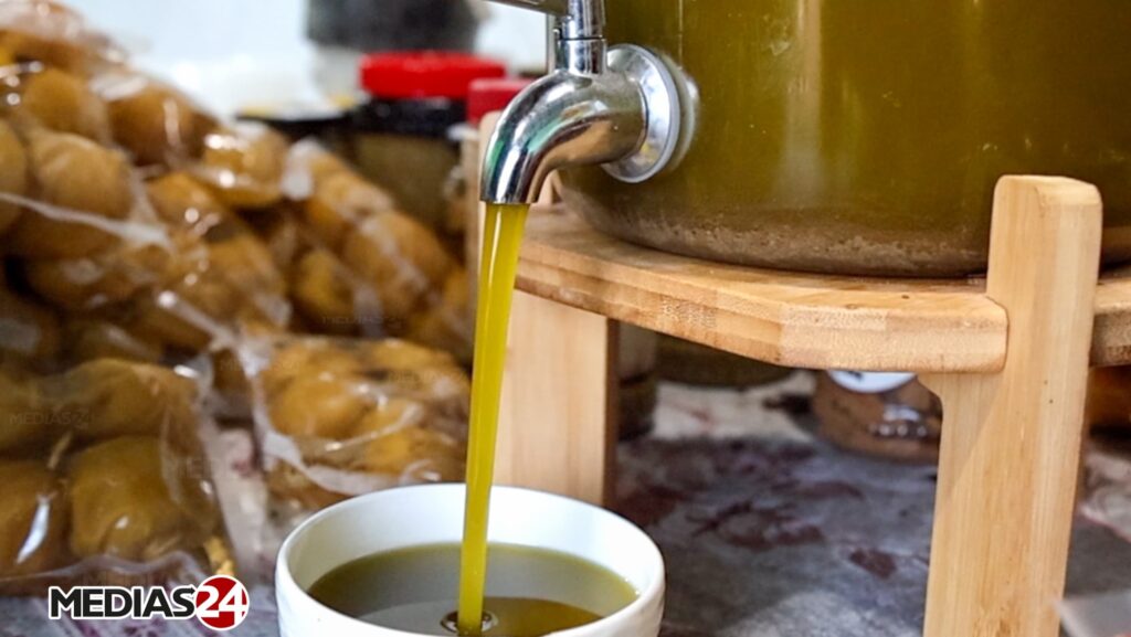 Huile d’olive. Des presses aux centrifugeuses, dans les coulisses d’une unité de trituration (2/3)