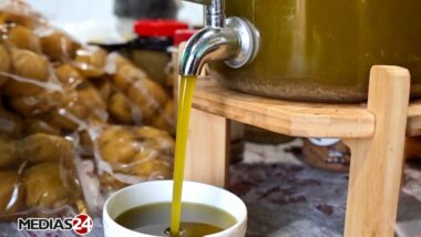 Huile d’olive. Des presses aux centrifugeuses, dans les coulisses d’une unité de trituration (2/3)