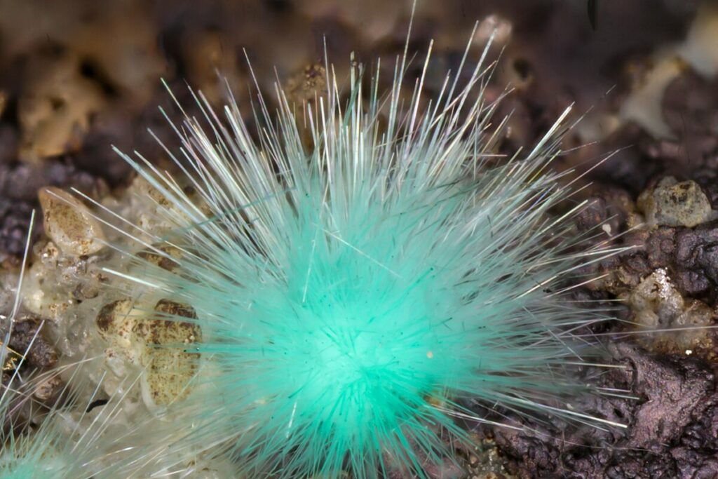 Les trésors oubliés d'Aouli et Mibladen : quand la recherche de minéraux fait vivre une population oubliée