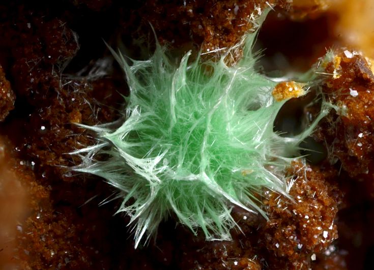 Les trésors oubliés d'Aouli et Mibladen : quand la recherche de minéraux fait vivre une population oubliée