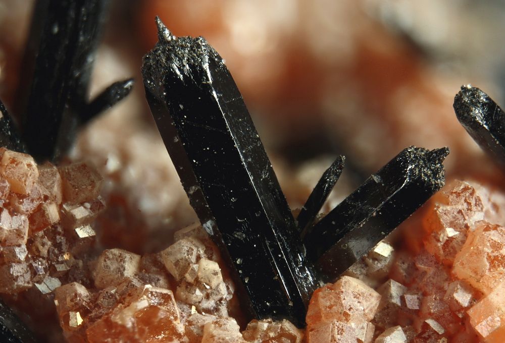 Les trésors oubliés d'Aouli et Mibladen : quand la recherche de minéraux fait vivre une population oubliée