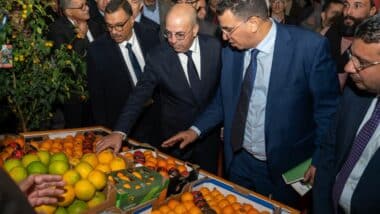 Sidi Kacem accueille la 1re édition du Salon national des agrumes