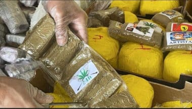 Démantèlement à Casablanca d’un réseau de trafic international de drogues, 16 tonnes de chira saisies