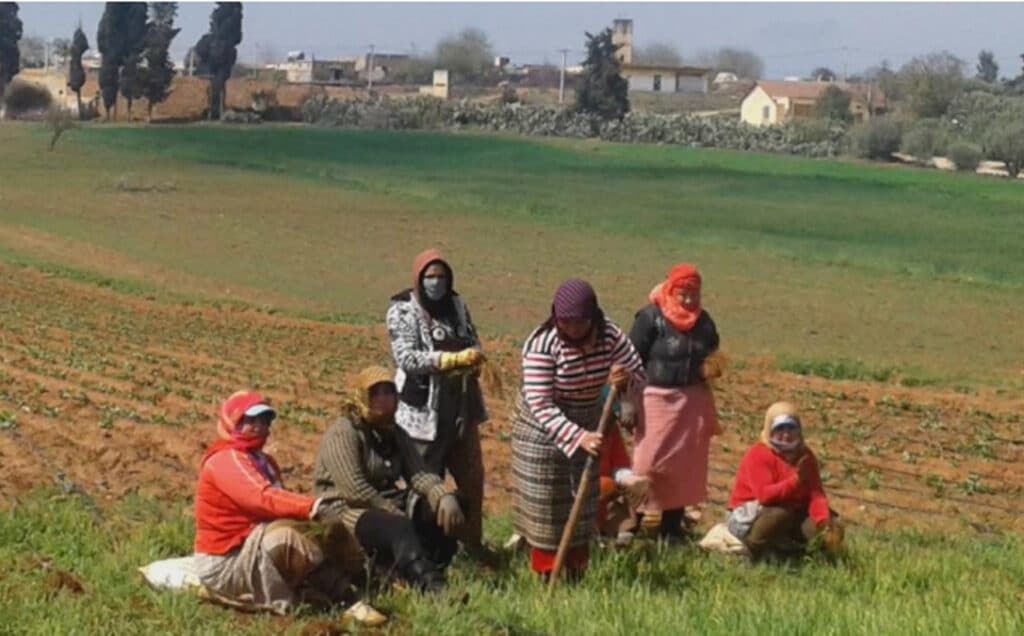 Ouvrières agricoles : la revue &ldquo;Alternatives Rurales&rdquo; met en lumière leur précarité