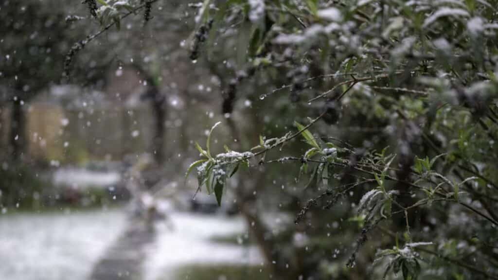Alerte. Neige et fortes pluies attendues du 12 au 14 décembre 2025 dans certaines provinces