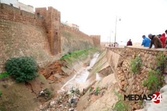 Safi : entre rumeurs et faits, décryptage logique du drame du 14 décembre