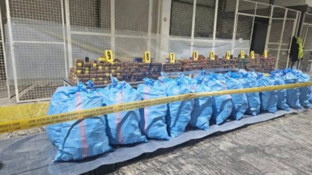 Au port Tanger-Med, mise en échec d'une tentative de trafic de plus de 8,1 tonnes de chira
