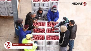 Frigo Oudi, un levier de développement agricole au cœur de Béni Mellal