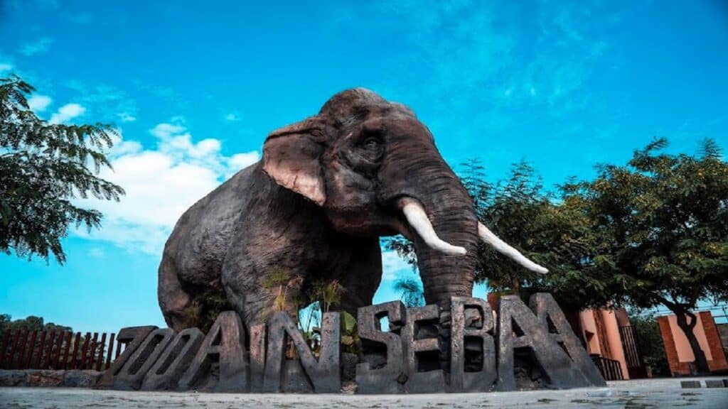 Parc zoologique d’Aïn Sebaâ, site de 13 hectares à Casablanca.