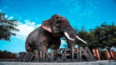 Zoo de Aïn Sebaâ : 300 animaux répartis sur 13 hectares