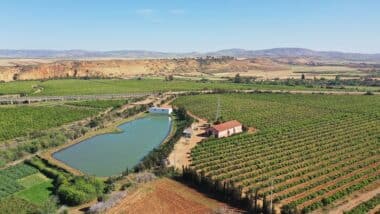 Une excellente campagne agricole s’annonce dans le Souss-Massa